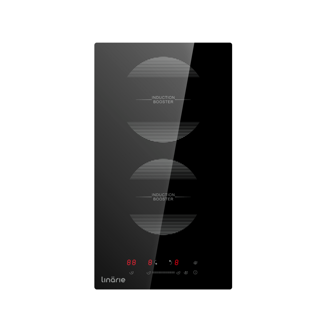 LINARIE | DOMINO PLAQUE INDUCTION ENCASTRABLE CRAON LIN30I2Z 2 ZONES