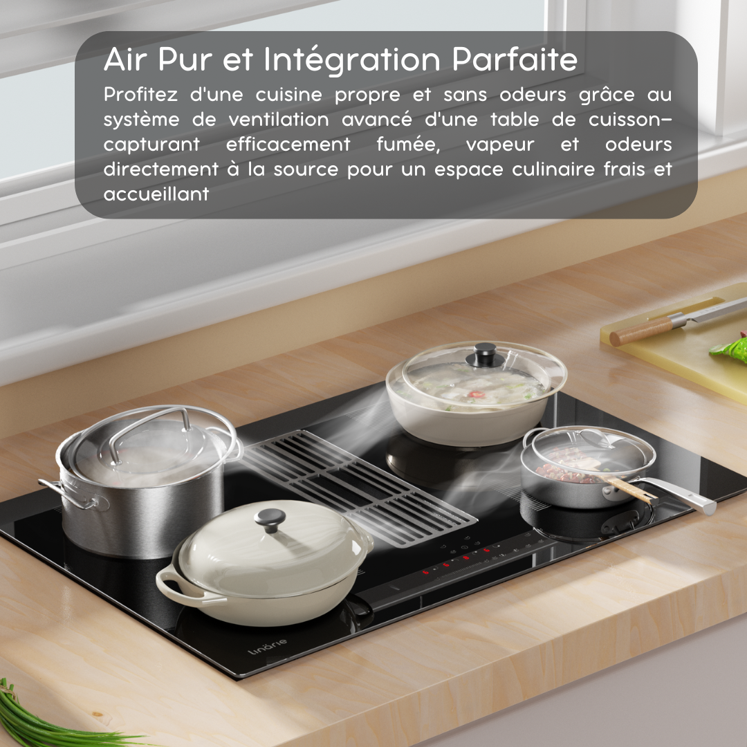 LINARIE | TABLE INDUCTION ASPIRANTE LNI90DAI1F2Z VITTEL 4 FOYERS DONT 2 FLEX ZONE - ENCASTRABLE 77CM